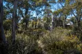 Property photo of 12 Trout Crescent Miena TAS 7030