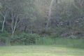 Property photo of 22 The Crest Hornsby Heights NSW 2077