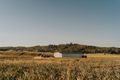 Property photo of 20 Carnarvon Court Yandina Creek QLD 4561