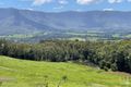 Property photo of 286 Tyalgum Ridge Road Tyalgum NSW 2484