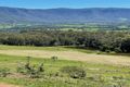Property photo of 286 Tyalgum Ridge Road Tyalgum NSW 2484