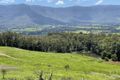 Property photo of 286 Tyalgum Ridge Road Tyalgum NSW 2484