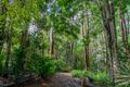 Property photo of 57 Treehaven Way Maleny QLD 4552