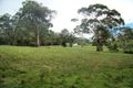 Property photo of 146 Back Creek Road Nethercote NSW 2549