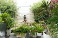 Property photo of 21 Village Circuit Eimeo QLD 4740