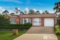 Property photo of 6 Alex Place Bligh Park NSW 2756