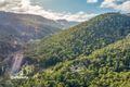 Property photo of 496 Judds Creek Road Judbury TAS 7109
