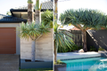 Property photo of 4 Pannaroo Street Buddina QLD 4575