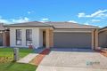 Property photo of 38 Goodluck Circuit Cobbitty NSW 2570