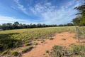 Property photo of 5L Kingsley Road Eumungerie NSW 2822