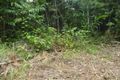 Property photo of LOT 1 Cooroo Lands Road Cooroo Lands QLD 4860