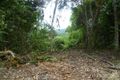 Property photo of LOT 1 Cooroo Lands Road Cooroo Lands QLD 4860