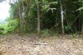 Property photo of LOT 1 Cooroo Lands Road Cooroo Lands QLD 4860