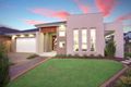 Property photo of 172 The Ponds Boulevard The Ponds NSW 2769