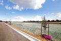 Property photo of 21 Arena Street Spring Farm NSW 2570