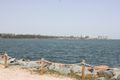 Property photo of 6/102 Hornibrook Esplanade Clontarf QLD 4019