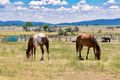 Property photo of 223 Silverleaves Road Mount Beppo QLD 4313