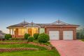 Property photo of 19 Braeside Crescent Glen Alpine NSW 2560