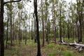 Property photo of 143 Hutchins Road Kullogum QLD 4660