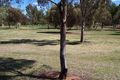 Property photo of 50 Fitzroy Avenue Red Cliffs VIC 3496