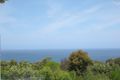 Property photo of 21 Babs Road Killcare Heights NSW 2257