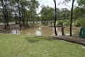 Property photo of 8548 Isis Highway Dallarnil QLD 4621