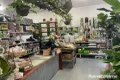 Property photo of 361 Polo Road Goondiwindi QLD 4390