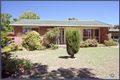 Property photo of 10 Lewin Street Lyneham ACT 2602