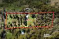 Property photo of 346 Marshall Road Argyle WA 6239
