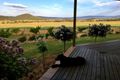 Property photo of 1135 Mackeys Creek Road Eugowra NSW 2806