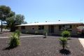 Property photo of 36 Hawdon Street Barmera SA 5345