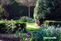 Property photo of 44A Grigg Street Deloraine TAS 7304