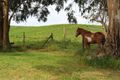 Property photo of 760 Creamery Valley Road Toora North VIC 3962