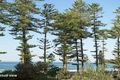 Property photo of 18/56 Whistler Street Manly NSW 2095