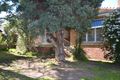 Property photo of 590 Pascoe Vale Road Pascoe Vale VIC 3044