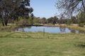 Property photo of 6909 Holbrook Road Rowan NSW 2650