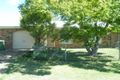 Property photo of 2-12 Young Street Pittsworth QLD 4356
