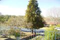Property photo of 11 Bridgeview Crescent Thornleigh NSW 2120
