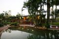 Property photo of 93 Strathdickie Road Hamilton Plains QLD 4800