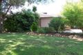 Property photo of 43 Geneva Crescent Lake Albert NSW 2650