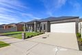 Property photo of 8 Columbia Crescent Traralgon VIC 3844