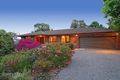 Property photo of 49 Paton Crescent Boronia VIC 3155