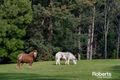 Property photo of 57 Blackball Line Road Lilydale TAS 7268