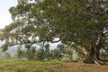 Property photo of LOT 416 Wongawilli Road Wongawilli NSW 2530