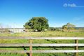 Property photo of 130 Cobbitty Road Cobbitty NSW 2570