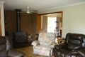 Property photo of 20 Nichol Street Bendoc VIC 3888