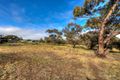 Property photo of 53 Goomalling Road Northam WA 6401