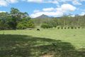 Property photo of 205 Wilson Road Clumber QLD 4309