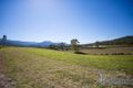 Property photo of 49 De Bonis Road Netherdale QLD 4756