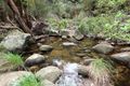 Property photo of 21/1157 Stony Chute Road Nimbin NSW 2480